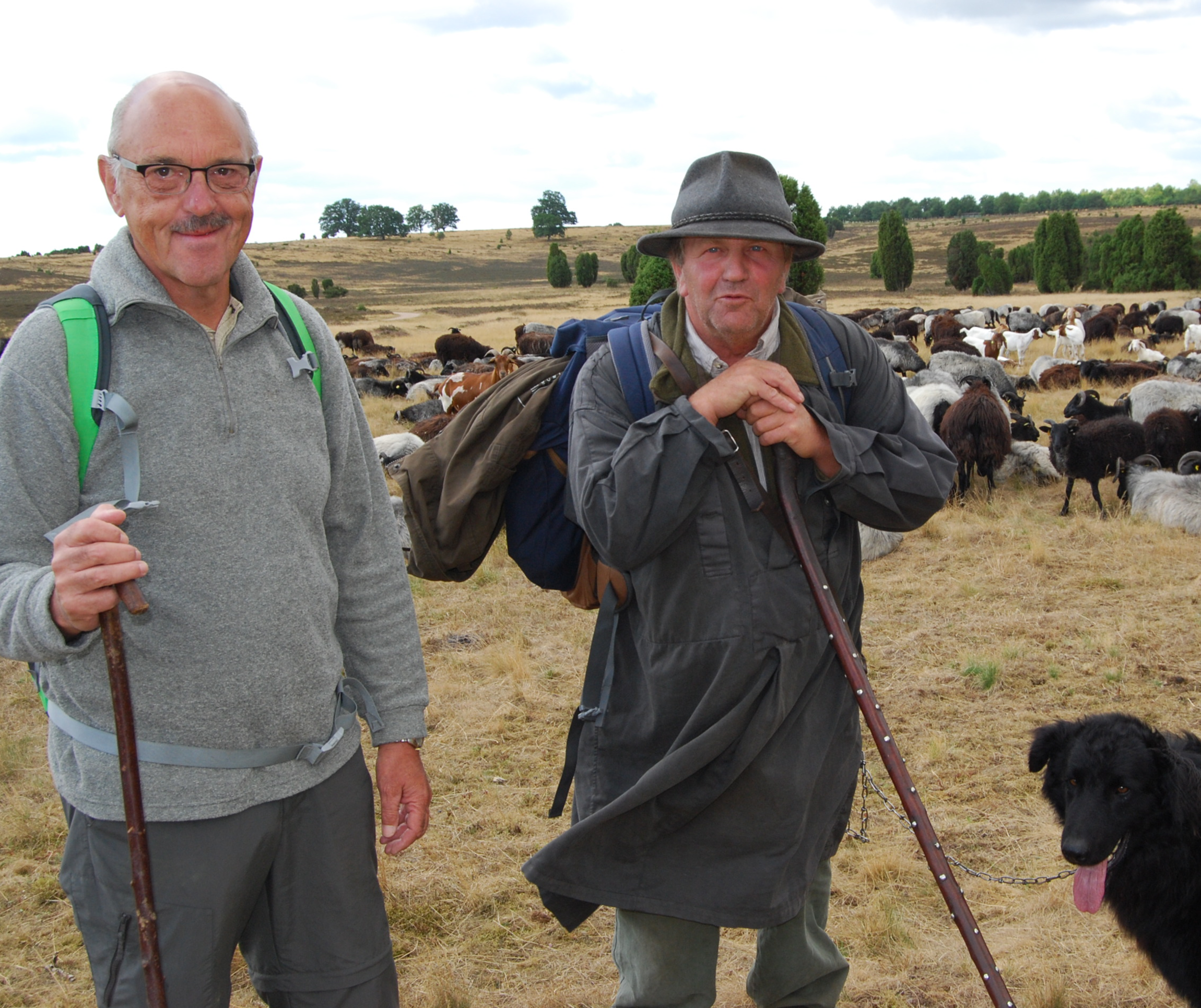 Hirten unter sich: Regionalbischof Dieter Rathing (l.) mit Ralf Bachmann. Eine Woche lang begleitete der kirchenleitende Pastor den Schäfer und seine Herde samt Hütehund „Prinz“ im Spätsommer 2018 durch die Lüneburger Heide. (Foto: Merten)