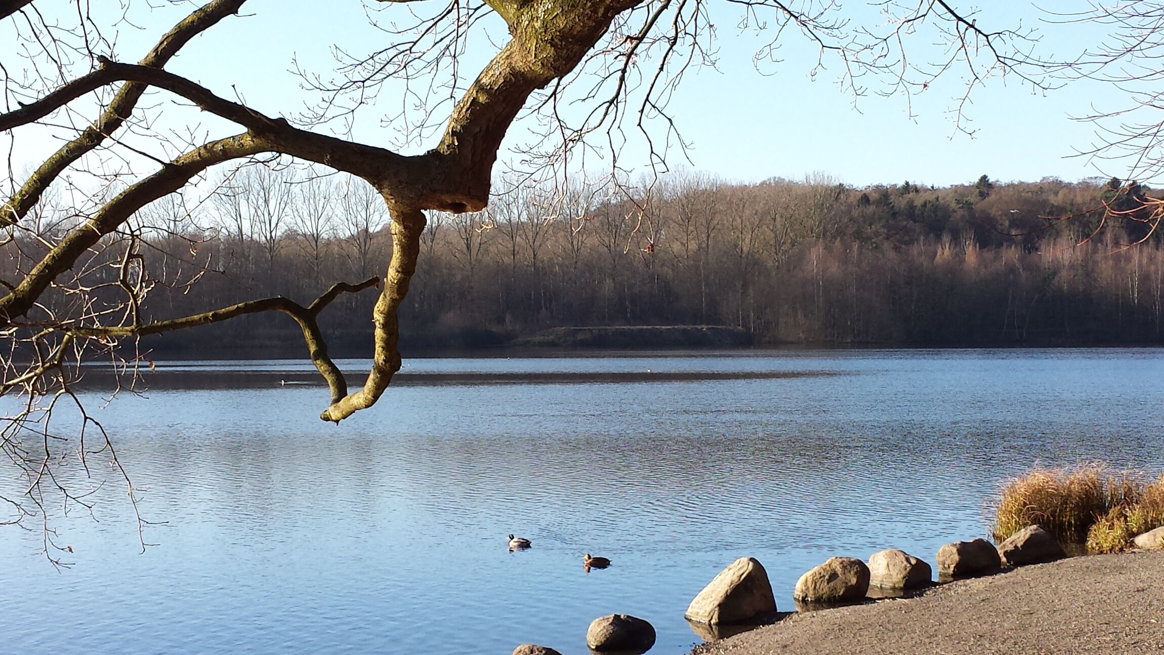 Rubbenbruchsee in Osnabrück (c) Neuhaus