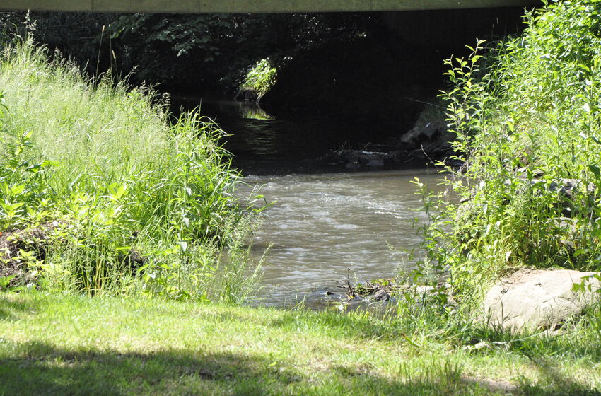 Tauffest an der Hache. "Kommt zum Fluss des Lebens" (c) K.Lohmeyer