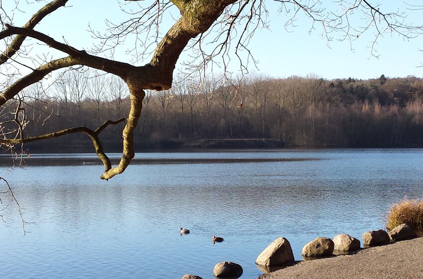 Rubbenbruchsee in Osnabrück (c) Neuhaus